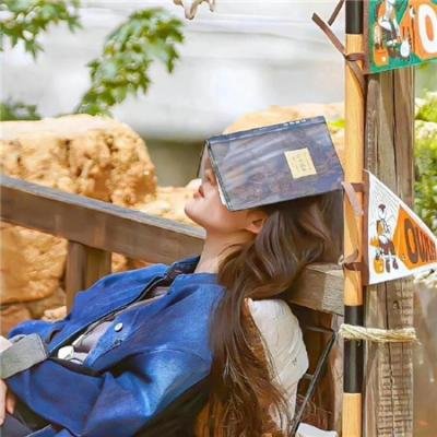 巅峰拍档第二十三季