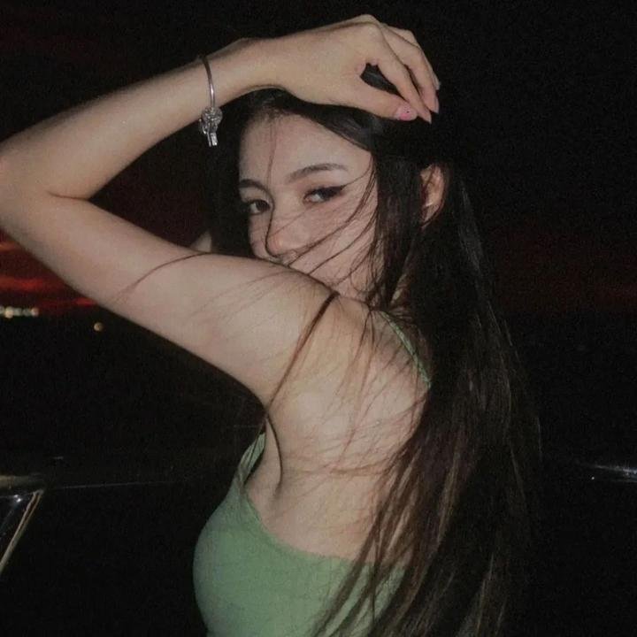 狮子护卫队第二季